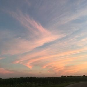 Meet your Posher, Brie